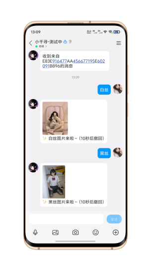 白丝+黑丝图片插件(自定义撤回时间)-五块四源码网